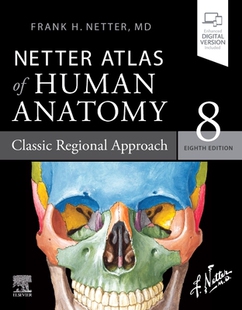 Classic 9780323680424 Atlas Paperback Approach Regional Anatomy Human Netter 现货