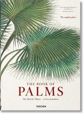 [预订]Book of Palms / Das Buch der Palmen / Le Livre des palmiers 9783836566148