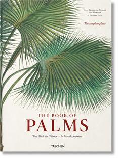 9783836566148 palmiers Palmen 预订 Book Das Palms des Buch Livre der