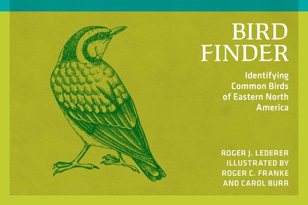 Identifying Common Birds of Eastern Nort