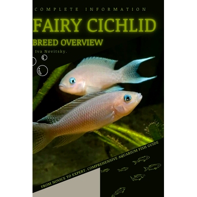 预订 Fairy Cichlid: From Novice to Expert. Comprehensive Aquarium Fish Guide: 9798397825436