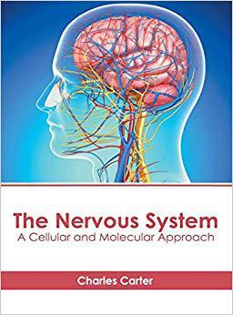 【预售】The Nervous System: A Cellular and Molecular Approach