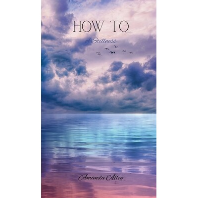 预订 How To of Stillness 9798295456329
