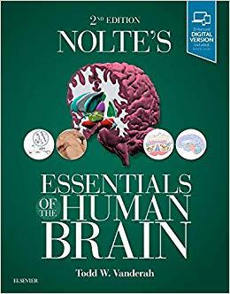 【预售】Nolte’s Essentials of the Human Brain