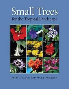 the Trees for Landscape Tropical 预售 Small