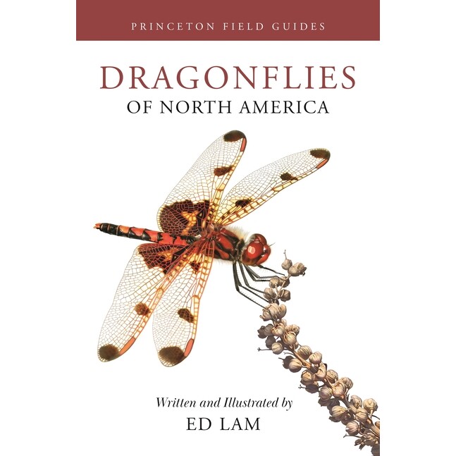现货 Dragonflies of North America 北美龙飞蝶: 9780691232874 - 实物图