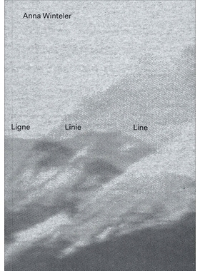预订 Anna Winteler: Lignes Linien Lines: 9783903269620