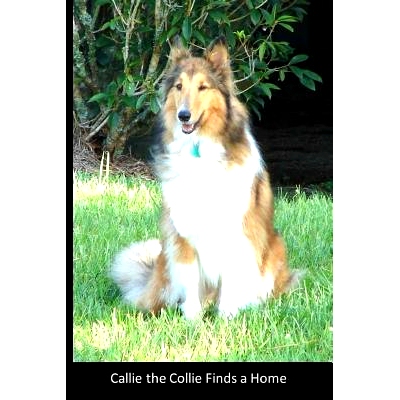 预订 Callie the Collie finds a home: A true story with a happy ending about a puppy who wanted to find a home and someon
