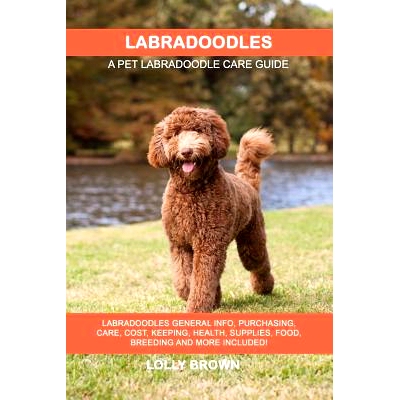 预订 Labradoodles: Labradoodles General Info, Purchasing, Care, Cost, Keeping, Health, Supplies, Food, Breeding and More