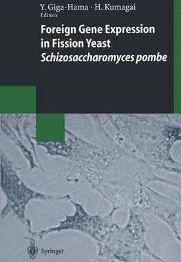 【预订】Foreign Gene Expression in Fission Yeast: Schizosaccharomyces pombe