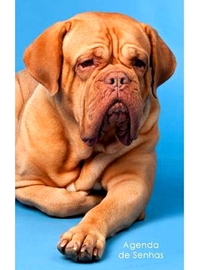 预订 Agenda de Senhas: Agenda Para Enderecos Eletronicos E Senhas: Capa French Mastiff - Portugues (Brasil): 97815429246