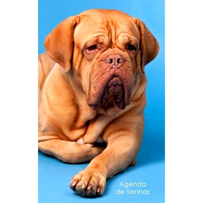 预订 Agenda de Senhas: Agenda Para Enderecos Eletronicos E Senhas: Capa French Mastiff - Portugues (Brasil): 97815429246