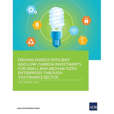 预订 Driving Energy-Efficient and Low-Carbon Investments for Small and Medium-Sized Enterprises through the Finance Sect