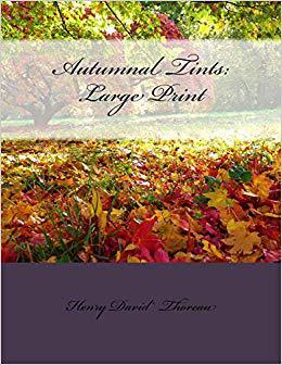 【微瑕清仓】Autumnal Tints: Large Print
