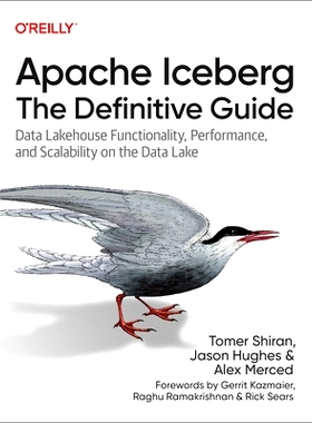 预订 Apache Iceberg: The Definitive Guide: Data Lakehouse Functionality, Performance, and Scalability on the Data Lake