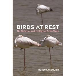 现货 Birds at Rest: The Behavior and Ecology of Avian Sleep