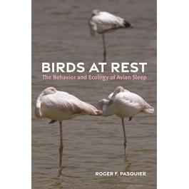 现货 Birds at Rest: The Behavior and Ecology of Avian Sleep