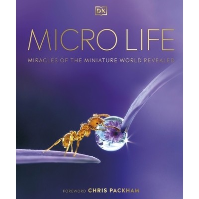 Miracles of the Miniature World Revealed