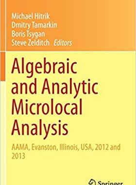 【预售】Algebraic and Analytic Microlocal Analysis