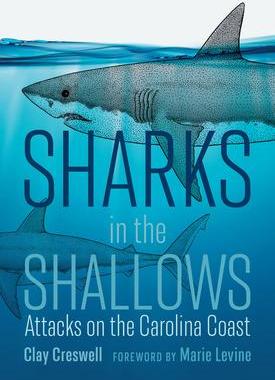 [预订]Sharks in the Shallows 9781643361802