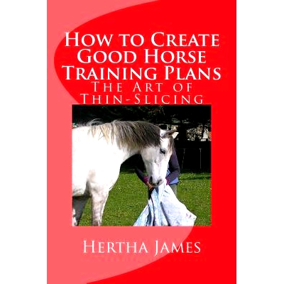 预订 How to Create Good Horse Training Plans: The Art of Thin-Slicing: 9781537308272