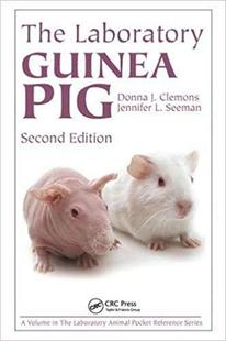 Guinea Laboratory 预售 Pig The