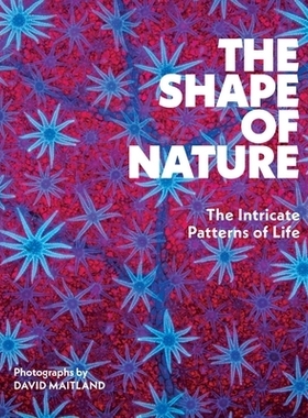 预订 The Shape of Nature: The Intricate Patterns of Life 自然的形状:生命的复杂图案: 9781419779794