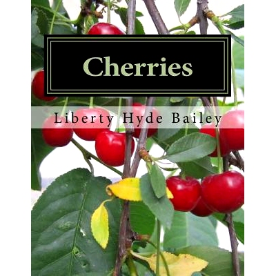 预订 Cherries: 9781979434386