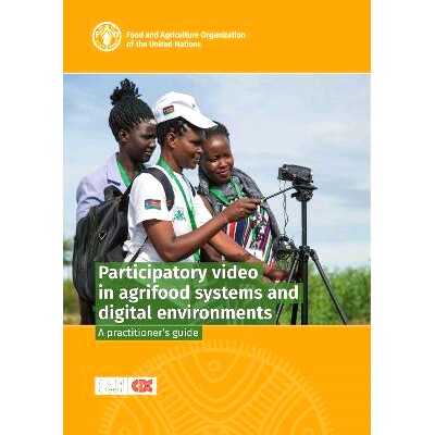 A practitioner&rsquo;s guide