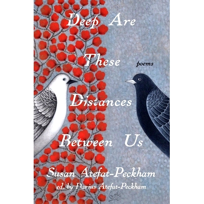 预订 Deep Are These Distances Between Us 距离之谜: 9781933880969