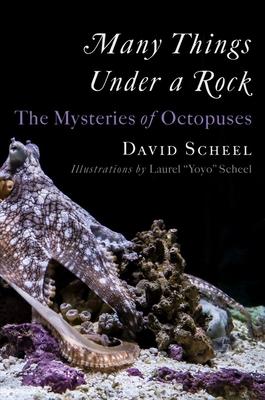 [预订]Many Things Under a Rock: The Mysteries of Octopuses 9781324020691 书籍/杂志/报纸 科学技术类原版书 原图主图