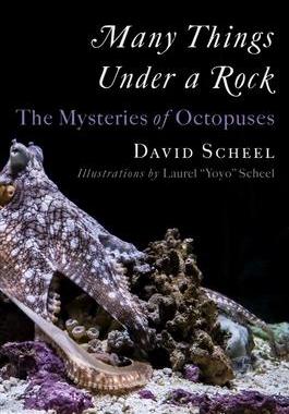 [预订]Many Things Under a Rock: The Mysteries of Octopuses 9781324020691