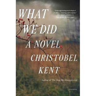 Did 9781250251275 What 预订