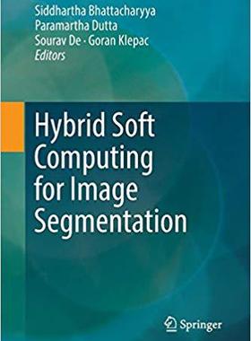 【预售】Hybrid Soft Computing for Image Segm...