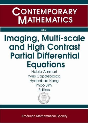 【预售】Imaging, Multi-scale and High Contrast Partial Differential Equations