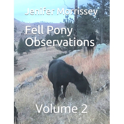 预订 Fell Pony Observations: Volume 2: 9798597997230