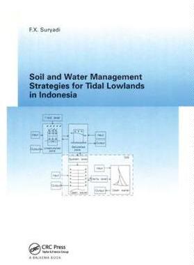【预订】Soil and Water Management Strategies for Tidal Lowlands in Indonesia