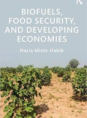 【预售】Biofuels, Food Security, and Developing Economies