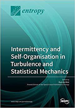 【预售】Intermittency and Self-Organisation in Turbulence and Statistical Mechanics