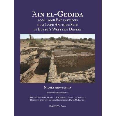 预订 Ain El-Gedida: 2006-2008 Excavations of a Late Antique Site in Egypt’s Western Desert Ain El-Gedida：2006-2008年埃