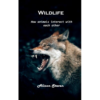预订 Wildlife: How animals interact with each other 野生动物: 9781803100685