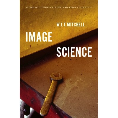 Ico*logy, Visual Culture, and Media Aest