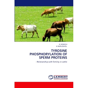 预订 Tyrosine Phosphorylation of Sperm Proteins: 9786208171360