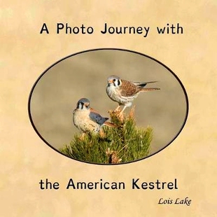 Journey 9781943650187 预订 Photo American Kestrel the with