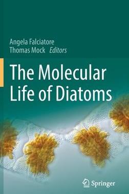 [预订]The Molecular Life of Diatoms 9783030924980