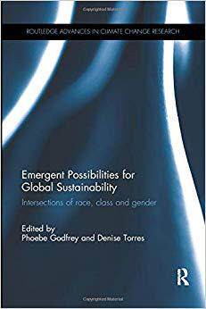 【预售】Emergent Possibilities for Global Sustainability: Intersections of race, class and gender