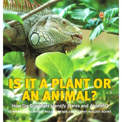 预订 Is It a Plant or an Animal? How Do Scientists Identify Plants and Animals? Compare and Contrast Biology Grade 3 Chi