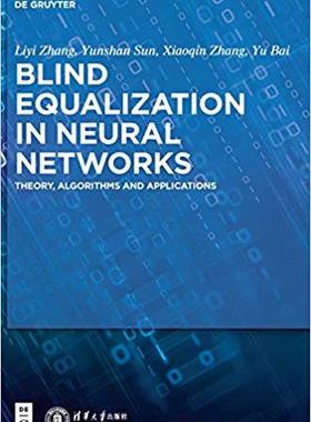 【预售】Blind Equalization in Neural Network...