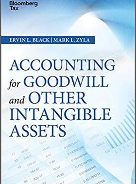 【预售】Accounting for Goodwill and Other In...