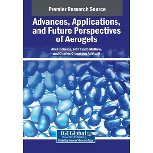 进展 9798369359754 and Aerogels Perspectives Applications Future 应用和未来展望 预订 气凝胶 Advances
